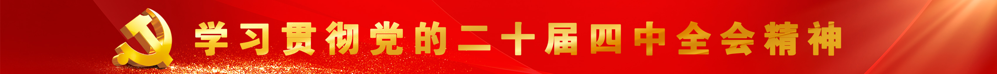 黨的二十屆四中全會(huì)